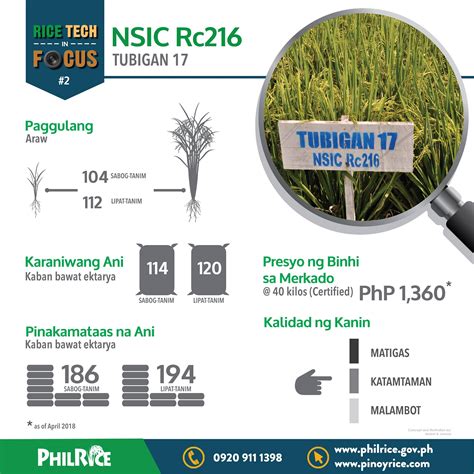 NSIC Rc 216: A variety for all seasons .